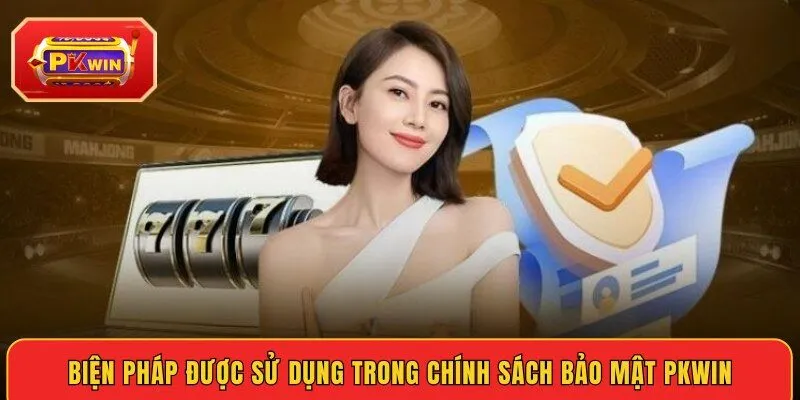 bien-phap-duoc-su-dung-trong-chinh-sach-bao-mat-pkwin